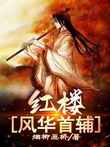 红楼之风华