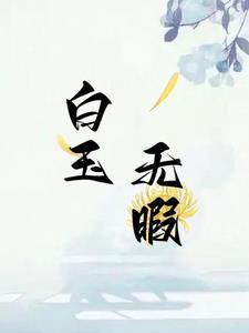 白玉无瑕打一字是什么字