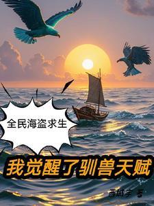 全民航海我的概率