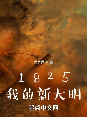 1825我的新大明叶武