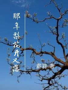 那年梨花又开放歌词