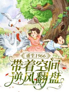 重生1966带着空间逆风翻盘 爱吃糖粉的关姑娘