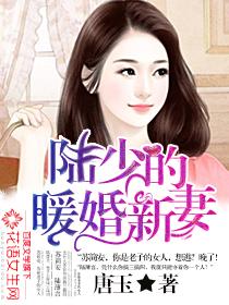 陆少的暖婚新妻听书免费