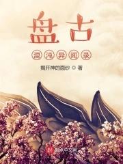 盘古混沌的书