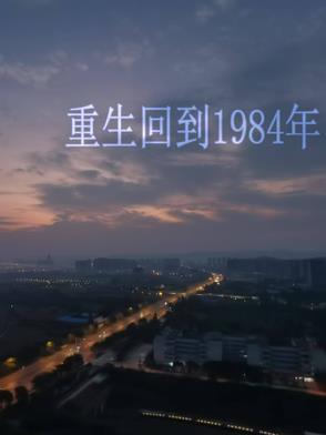 重生回到1984年那个遍地商机的年代动漫